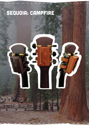 The Sequoia: Campfire Edition